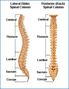 Back pain page 2 image website